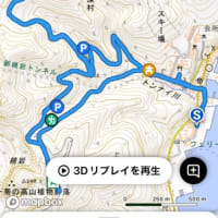 利尻島、礼文島の旅　2025/6/23〜25その2