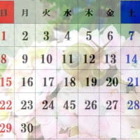 今日から６月です・水無月・June