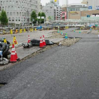 新潟駅にせきとりがやってきた