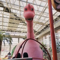 わんぱく公園＆エピナール那須