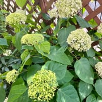 自分を大切にするということ