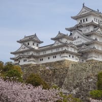 旅行