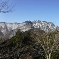 今年も行ってきた・・伯母ケ峯　
