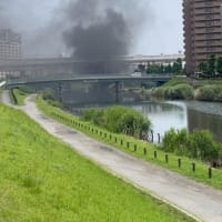 荒川放水路〜旧中川沿いを歩く①
