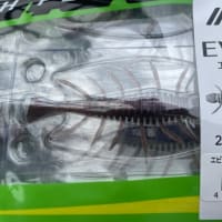 EVIFLY(エビフライ）‼️