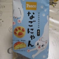 なごにゃん　かわゆす　＠Ｐａｓｃｏ