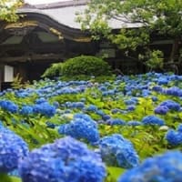 ６月　１８日