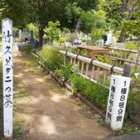 梅雨の晴れ間の雑司ヶ谷霊園