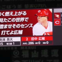 野球観戦ー楽天　２０日