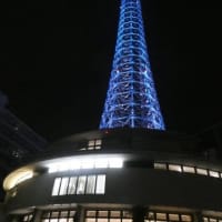 7月10日　山下公園で　ランタンが飛ぶ！？　横浜は観光地なのだ☆彡　更新しました～