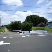 べに花の町、埼玉県桶川市　その１