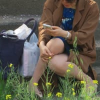 いやはや使ってみんことにゃわからんて〜