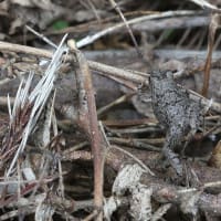 8月6日（火）　ズル休み