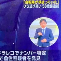 宮城で男が大型トレーラーでチャリを轢き逃げ