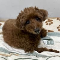 梅雨明けしました～！！もっと暑くなるってこと！？