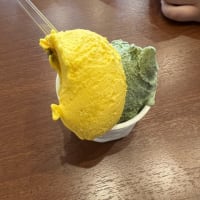桜を求めて