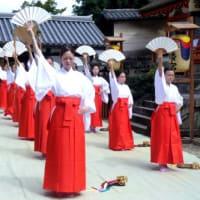 〈休ケ岡八幡宮〉　社殿前のミニ土俵で奉納子供相撲大会