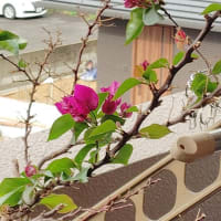 信頼を取り返すのは難しい。。。