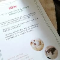 PEPPYさんから　猫たちへのプレゼント♪