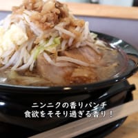 【限界を越えろ上越】ラーメン豚1枚麺300g　全マシ【新潟県上越グルメ】上越スチール販売(株)