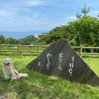 2024夏　12歳のゴールデンレトリバー　マハロの北海道旅行　Vol.5　～紋別から京都へ～