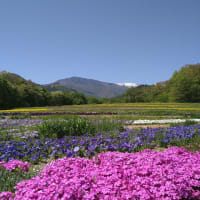 国営アルプスあずみの公園（堀金・穂高地区）