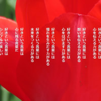 好きという言葉