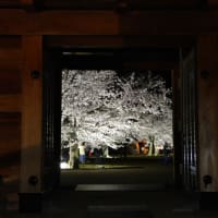 松代城のライトアップ５