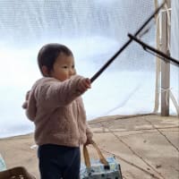 私にとって得るものの多かった楮の枝払い作業でした