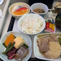 ヨーロッパ 24 最終日 ハノイから日本の家へ
