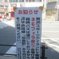 続：2024年の大阪ネモフィラ祭りのアクセスバス事情