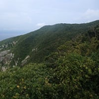 07/12思い出の旅日記　五島：大瀬崎への鳥見行-1（大瀬崎園地の模様）