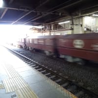 No.2265　養老鉄道で大垣へ