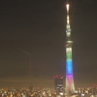 日向坂46の虹開催記念特別ライティング4