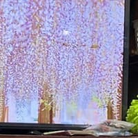 今日のリハビリ室