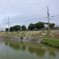 早朝・沢沿いルートで快適（757回目）