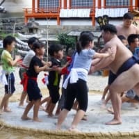 〈休ケ岡八幡宮〉　社殿前のミニ土俵で奉納子供相撲大会