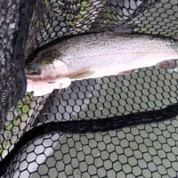 アクアヘブンで貸し切り釣行