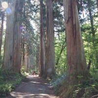 ヒスイ海岸・戸隠神社奥社・長野善光寺