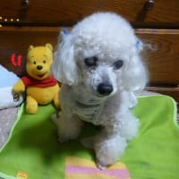 2025年7月7日…七夕に小暑…（;´▽｀A``　危険な暑さだぁ～