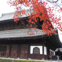 京都紅葉巡り：おまけの散歩は建仁寺！（１２月１日）
