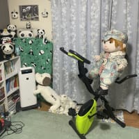 2025年度版　部屋の模様替えです。パンダがまた増えました。