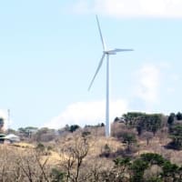 番外編296：“里美高原”・・少し春らしくなってきた？・かな！！