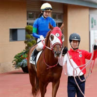 【ジーベック】初の1000ｍ戦でどうか！？ 7/13函館 噴火湾特別・出走確定