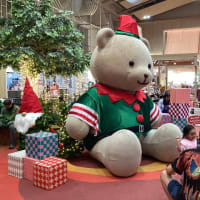 アユタヤ セントラルのクマさん……