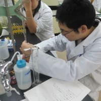 焼酎醸造実習報告☆