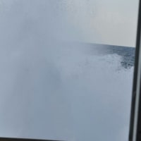 冬の石垣島の旅２…はてるまの星空編
