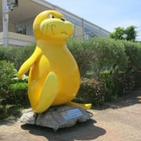 八卦島シーパラダイスあじさい祭り散策