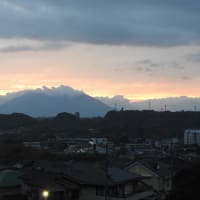 2025年4月22日（火） ランチの価格
