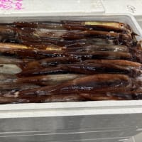 明日は休みだっ！